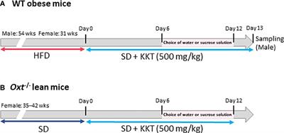 Traditional Japanese medicine Kamikihito ameliorates sucrose preference, chronic inflammation and obesity induced by a high fat diet in middle-aged mice